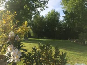 thumbnail: 98684877.jpg