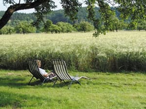thumbnail: Garden