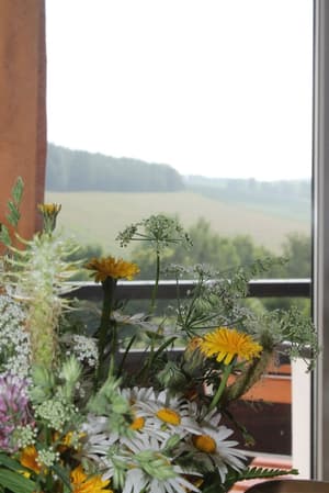 thumbnail: View from room