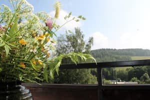 thumbnail: Balcony