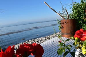 thumbnail: Terrace/patio