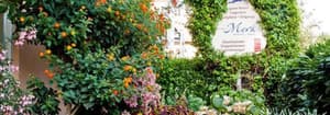 thumbnail: Garden