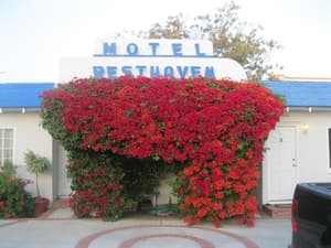 thumbnail: Exterior