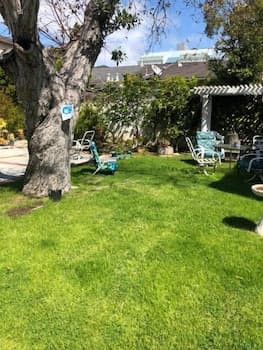 thumbnail: Property grounds