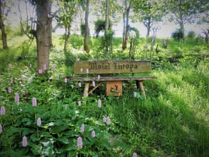 thumbnail: Garden