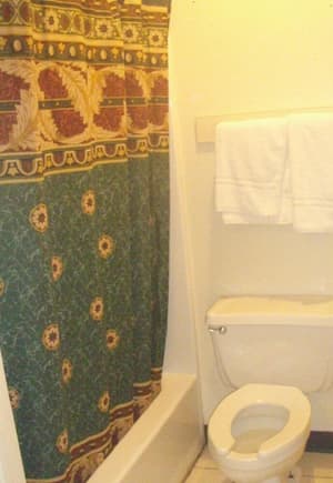 thumbnail: Bathroom shower