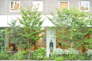 thumbnail: Exterior