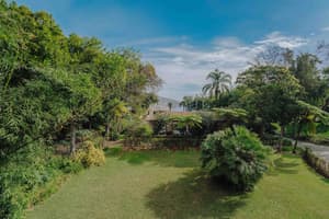 thumbnail: View from room