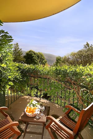 thumbnail: Garden view