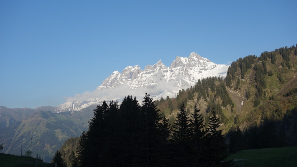 Mountain view