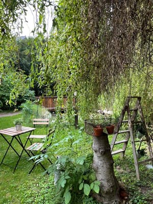 thumbnail: Breakfast area