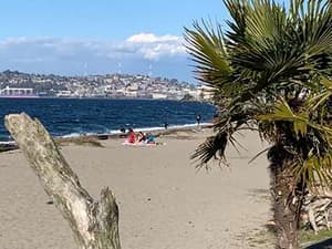 thumbnail: On-Site,Beach