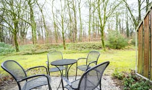 thumbnail: Terrace/patio