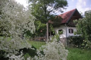 thumbnail: Garden