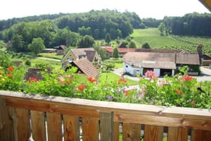 thumbnail: View from property