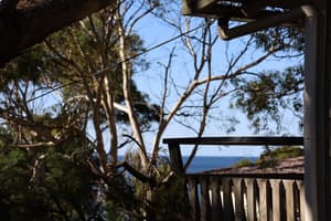 thumbnail: Water view