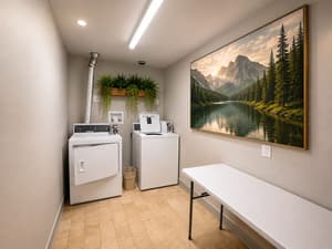 thumbnail: Laundry room