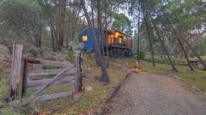 thumbnail: Garden view
