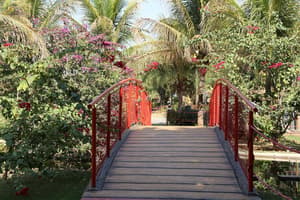 thumbnail: Garden