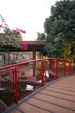 thumbnail: Garden