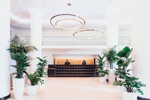thumbnail: Reception