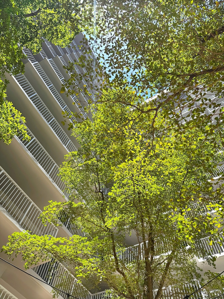 Courtyard view