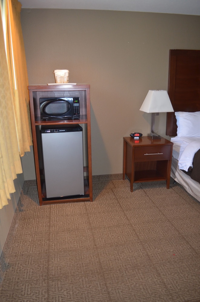 Mini-refrigerator