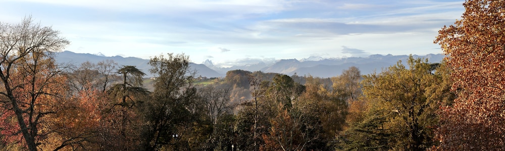 Park view