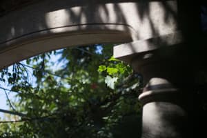 thumbnail: View from property