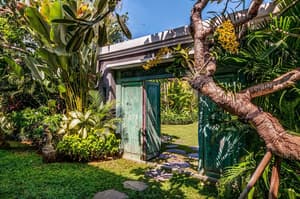 thumbnail: Garden view