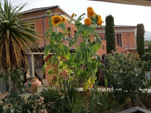 thumbnail: General view