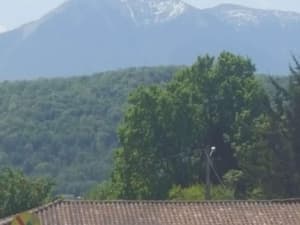 thumbnail: General view