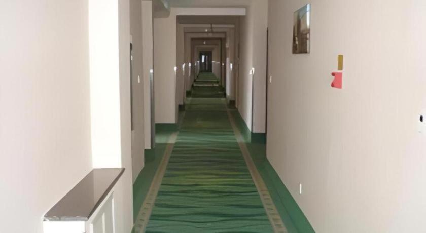 895824497.jpg