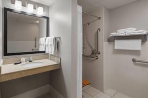 thumbnail: Accessible bathroom