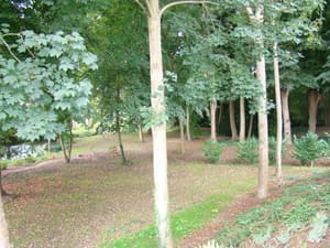 thumbnail: Property grounds