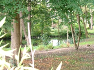thumbnail: Property grounds