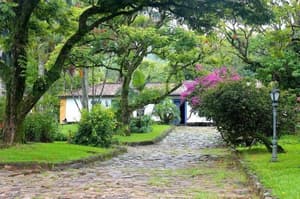 thumbnail: Garden