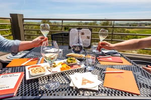 thumbnail: Vineyard