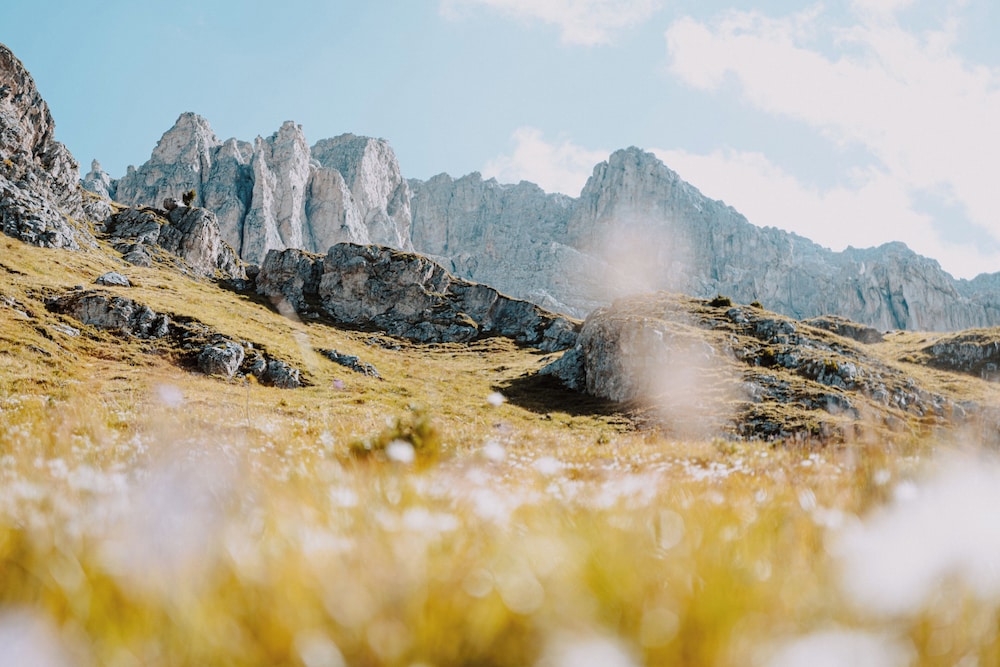 Land view from property