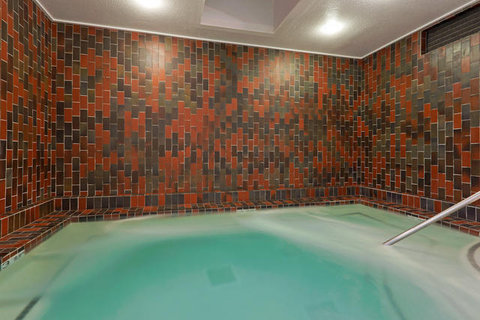 Holiday Inn Dublin-Pleasanton Indoor Spa
