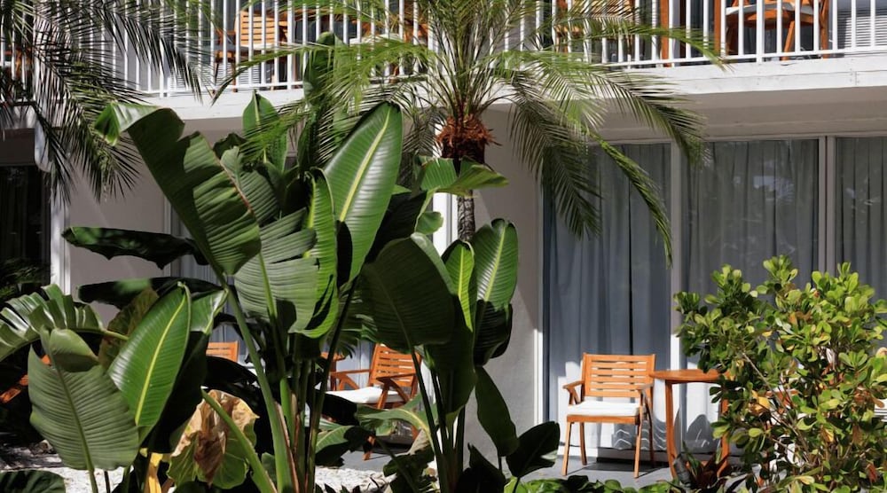 Garden view