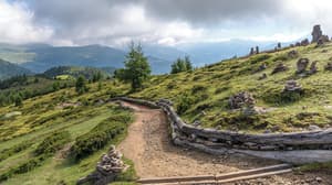 thumbnail: Hiking