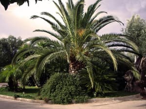 thumbnail: Interior