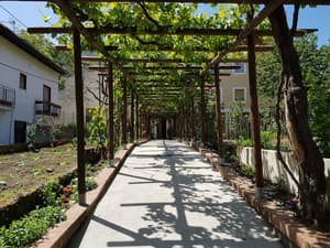 thumbnail: Garden