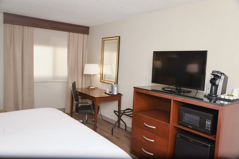 Standard King Guestroom