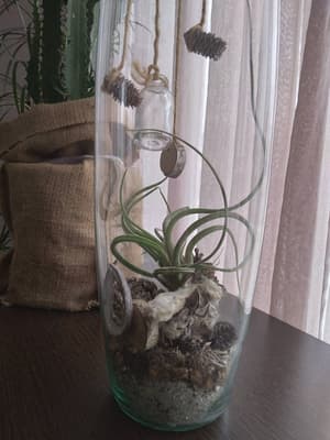 thumbnail: Interior detail
