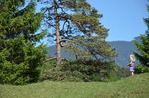 thumbnail: Hiking