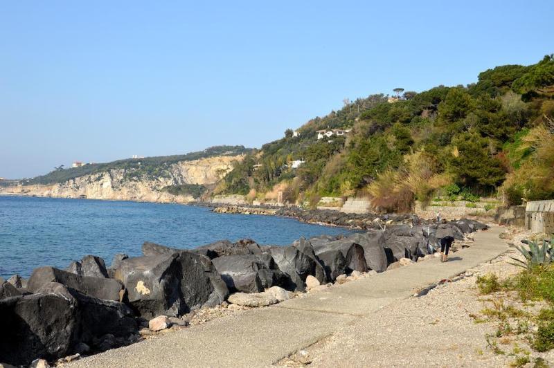 General view