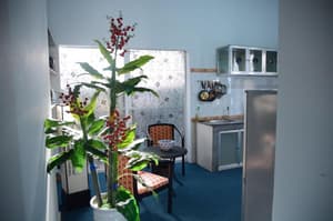 thumbnail: General view