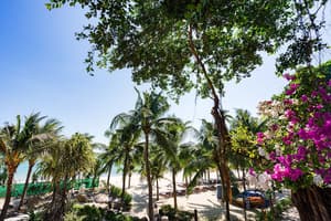 thumbnail: Beach/ocean view
